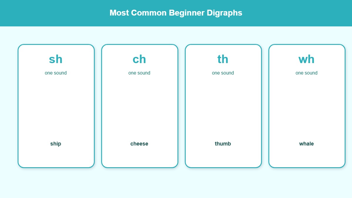 Infographic of beginner digraphs sh ch th wh with simple picture examples