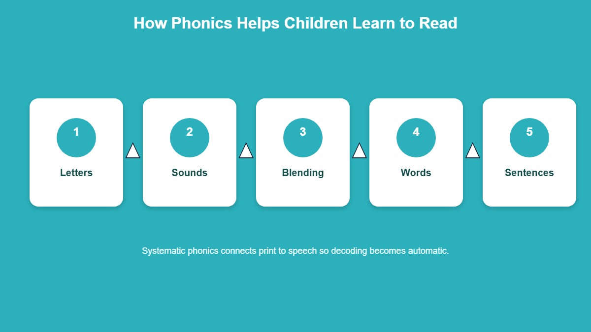 Infographic flow diagram showing how phonics helps children learn to read from letters to sounds to blending to words to sentences